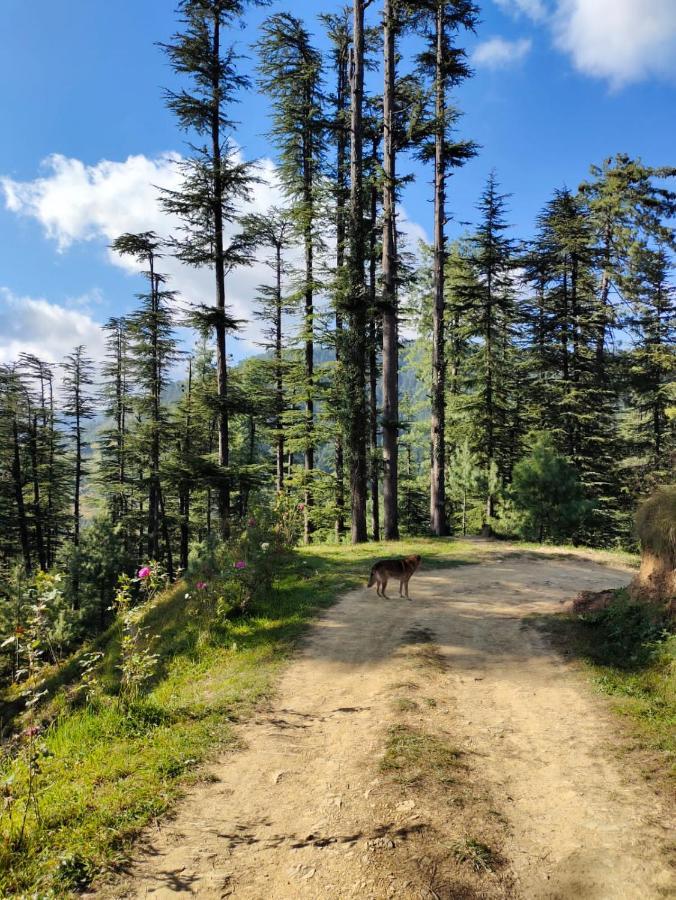 Norvin Homes Shimla Dış mekan fotoğraf
