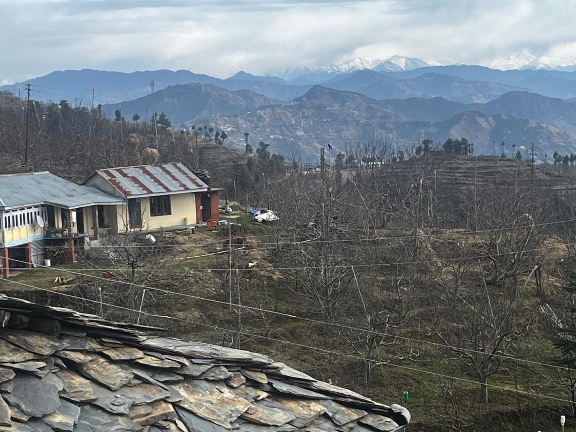 Norvin Homes Shimla Dış mekan fotoğraf