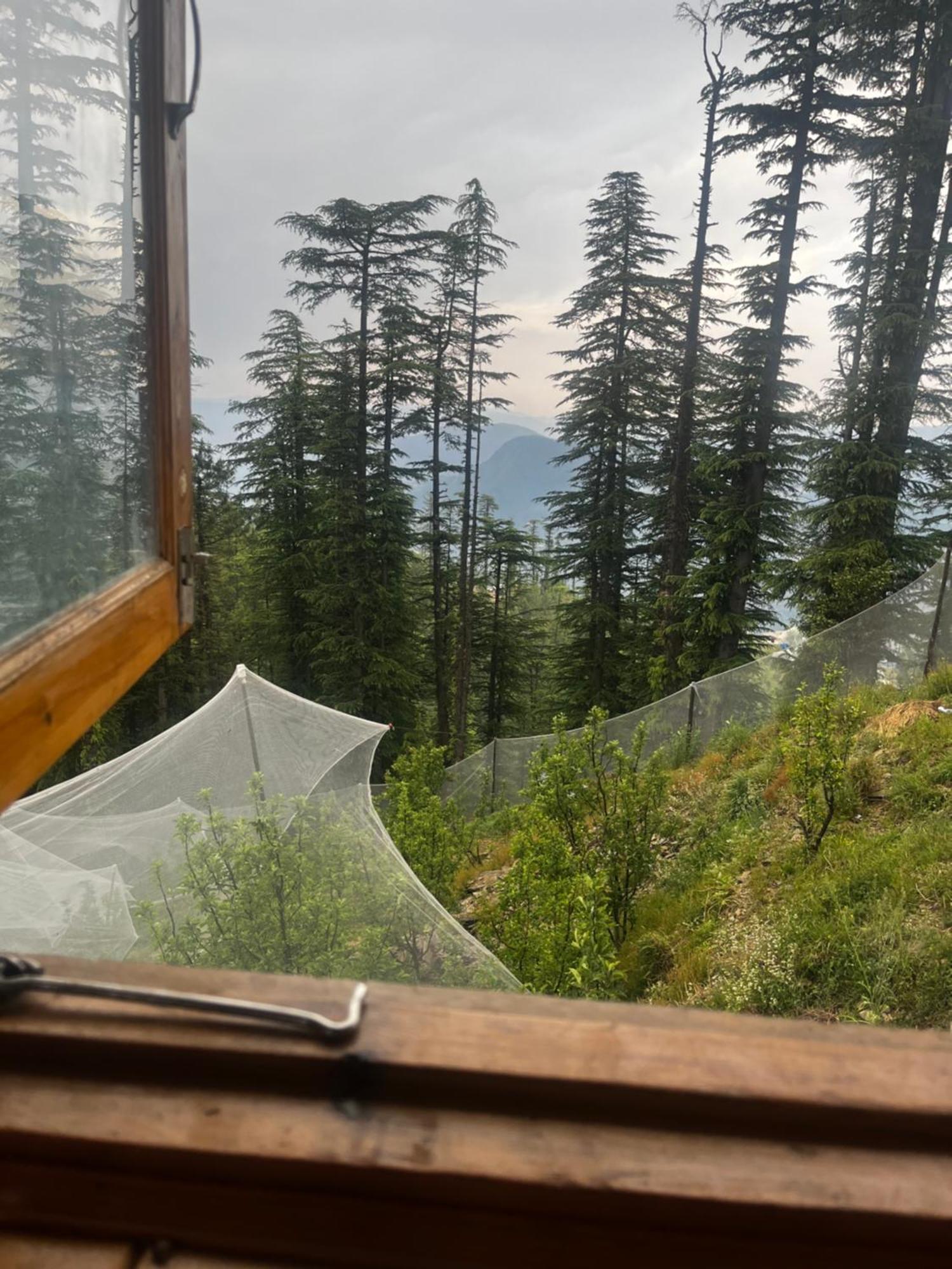 Norvin Homes Shimla Dış mekan fotoğraf