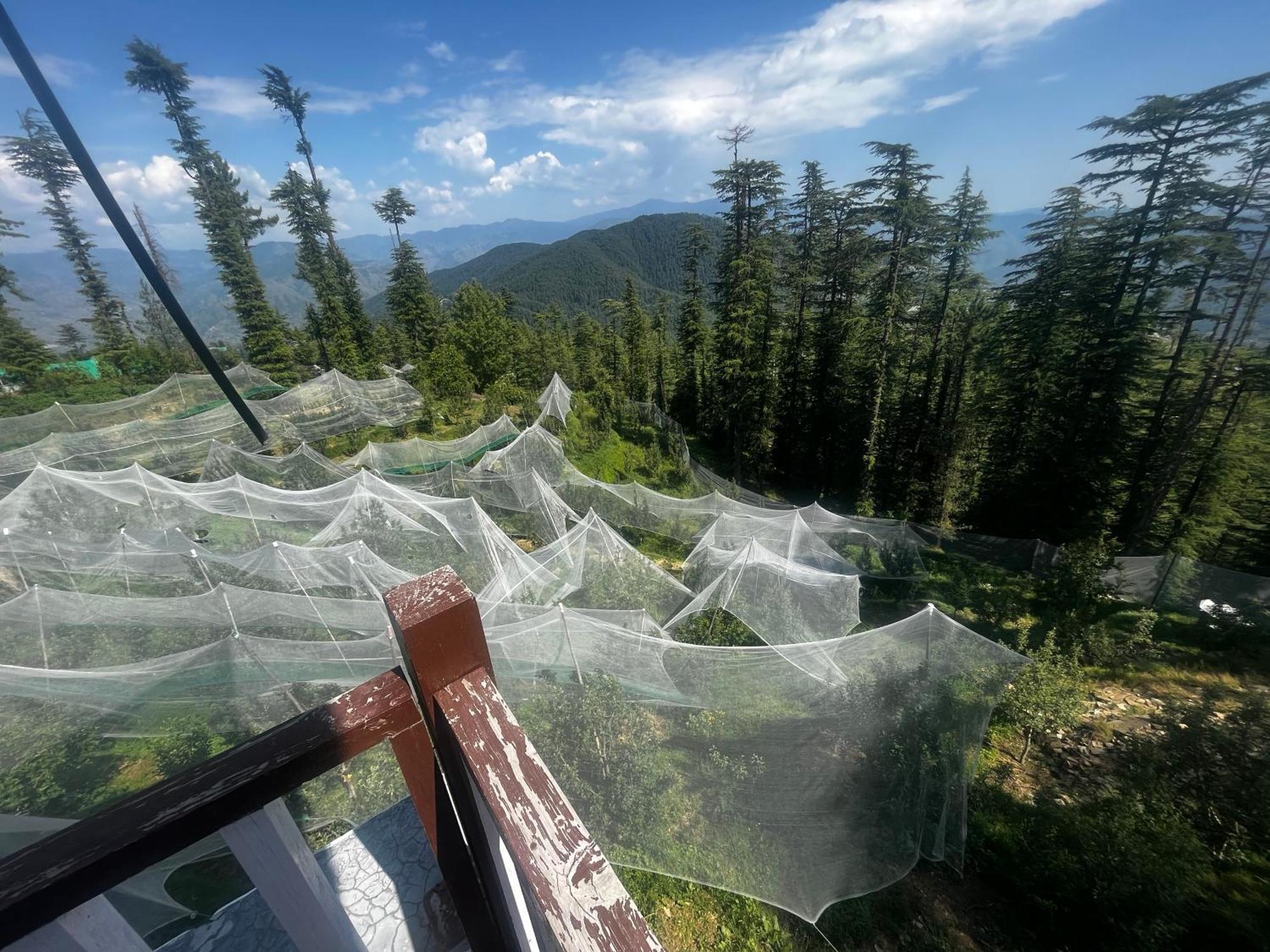Norvin Homes Shimla Dış mekan fotoğraf