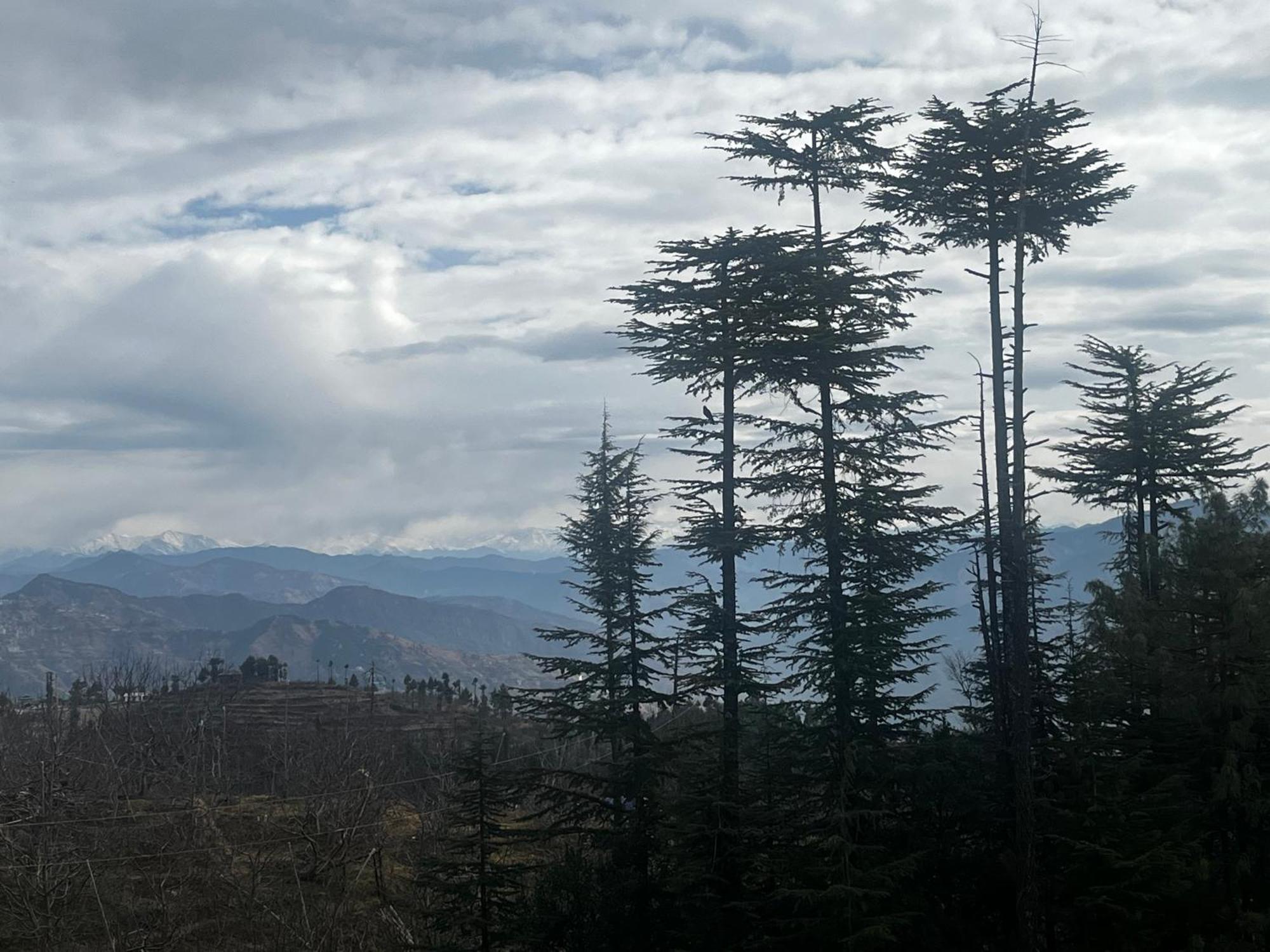 Norvin Homes Shimla Dış mekan fotoğraf
